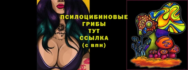 дмт Армянск