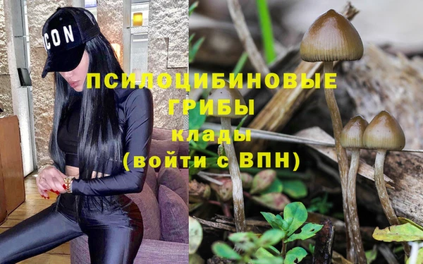 экстази Баксан