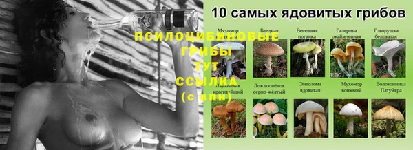 дмт Армянск